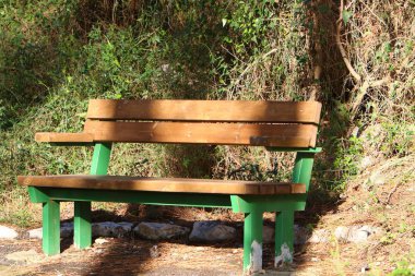 Kuzey İsrail 'de Akdeniz kıyısındaki bir şehir parkında bir bank duruyor. 