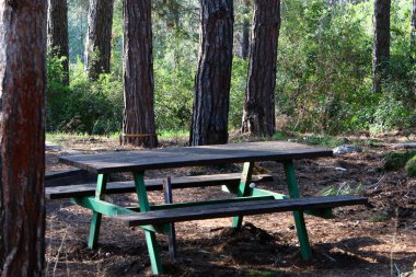 Kuzey İsrail 'de Akdeniz kıyısındaki bir şehir parkında bir bank duruyor. 