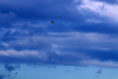 Kuzey İsrail 'deki Akdeniz üzerinde gökyüzünde süzülen yağmur bulutları 