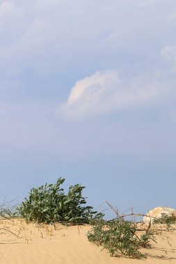 Kuzey İsrail 'deki Akdeniz üzerinde gökyüzünde süzülen yağmur bulutları 