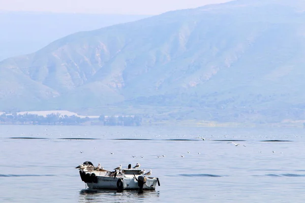 Galilea Lago Agua Dulce Noreste Israel — Foto de Stock