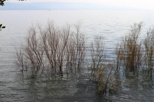 Galilee Sladkovodní Jezero Severovýchodním Izraeli — Stock fotografie