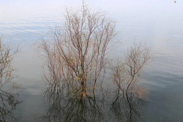 Galilea Lago Acqua Dolce Nel Nord Est Israele — Foto Stock