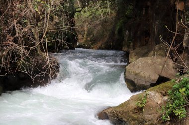 Fırtınalı Hermon nehri İsrail 'in kuzeyindeki Golan ormanında akıyor. 
