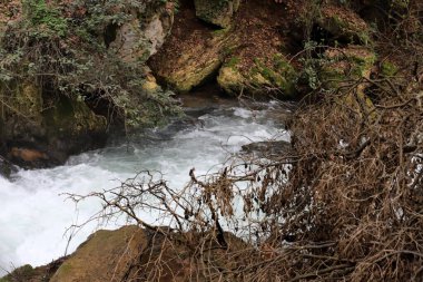 Fırtınalı Hermon nehri İsrail 'in kuzeyindeki Golan ormanında akıyor. 