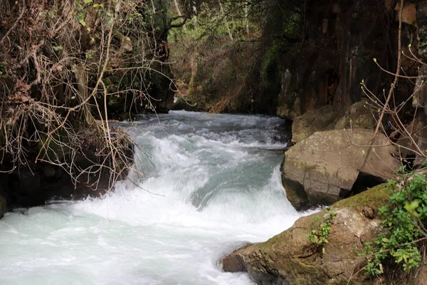 Θυελλώδης Ποταμός Hermon Ρέει Στη Ζούγκλα Του Γκολάν Στα Βόρεια — Φωτογραφία Αρχείου
