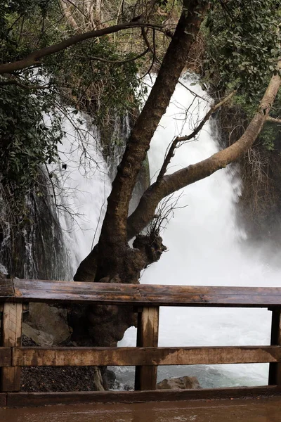 Бурная Река Ермон Течет Голанских Джунглях Севере Израиля — стоковое фото
