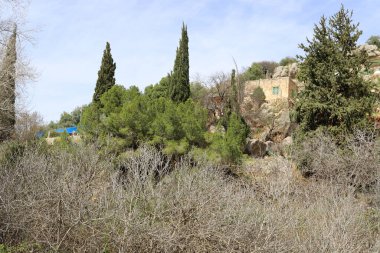 Baniyas, Ürdün 'ün doğu tarafındaki Hermon Dağı eteğinde yer alan antik bir şehirdir.. 