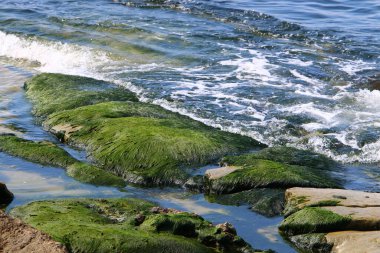 İsrail devletinin kuzeyinde Akdeniz'in ıssız kıyıları 