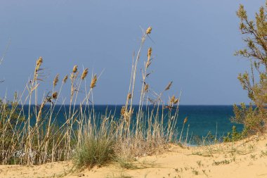 İsrail devletinin kuzeyinde Akdeniz'in ıssız kıyıları 