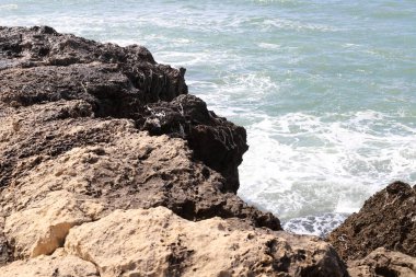 İsrail devletinin kuzeyinde Akdeniz'in ıssız kıyıları 