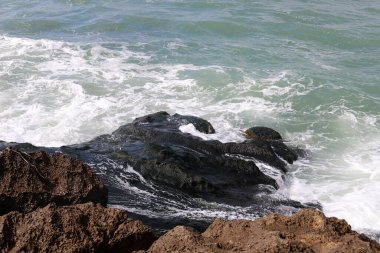 İsrail devletinin kuzeyinde Akdeniz'in ıssız kıyıları 