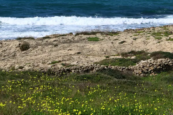 Costa Deserta Del Mar Mediterraneo Nel Nord Dello Stato Israele — Foto Stock