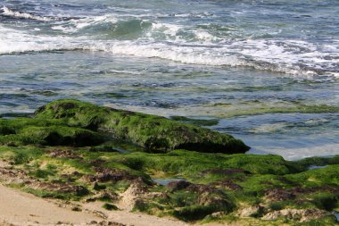İsrail devletinin kuzeyinde Akdeniz'in ıssız kıyıları 