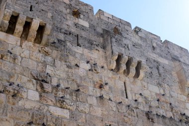 Kuzey İsrail 'deki antik bir kalenin taş duvarı 