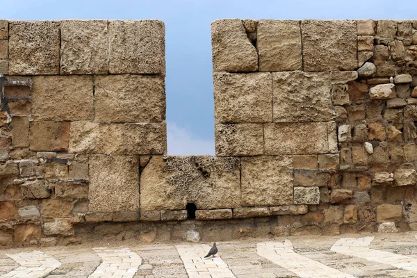 Πέτρινο Τείχος Αρχαίου Φρουρίου Στο Βόρειο Ισραήλ — Φωτογραφία Αρχείου
