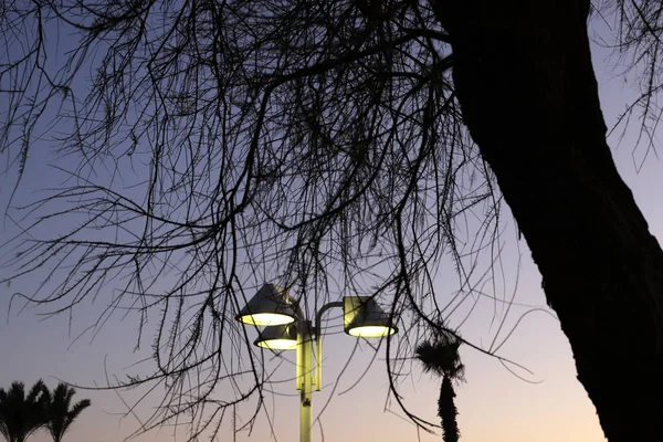 Stedelijke Elektrische Straatverlichting Een Grote Stad Israël — Stockfoto