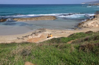 Akdeniz kıyısında çiçekler ve çimenler. İsrail 'in kuzeyinde ilkbahar 