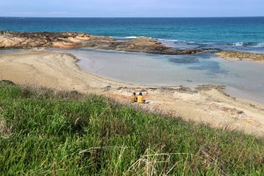 Akdeniz kıyısında çiçekler ve çimenler. İsrail 'in kuzeyinde ilkbahar 