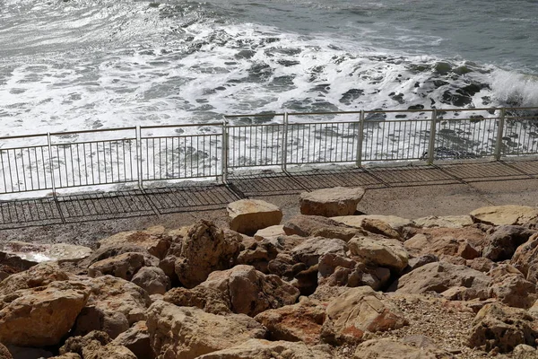 Clôture Dans Parc Urbain Sur Les Rives Mer Méditerranée Nord — Photo