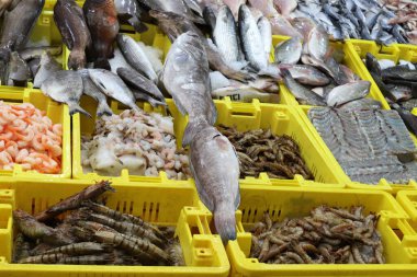 Kuzey İsrail 'deki Acre limanındaki pazarda taze deniz balığı ve yengeç satılıyor. 