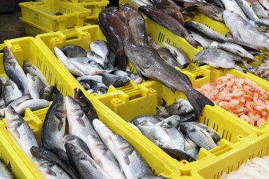 Kuzey İsrail 'deki Acre limanındaki pazarda taze deniz balığı ve yengeç satılıyor. 