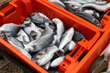 Kuzey İsrail 'deki Acre limanındaki pazarda taze deniz balığı ve yengeç satılıyor. 