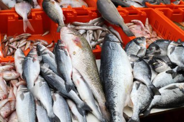 Kuzey İsrail 'deki Acre limanındaki pazarda taze deniz balığı ve yengeç satılıyor. 