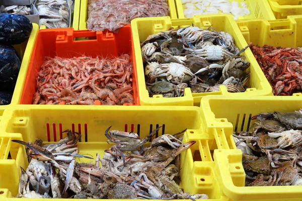 fresh sea fish and crabs are sold in the bazaar in the seaport of Acre in northern Israel