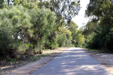 Orman, İsrail devletinin kuzeyindeki dağlarda otoyol. 