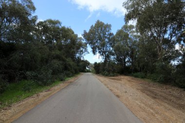 Orman, İsrail devletinin kuzeyindeki dağlarda otoyol. 