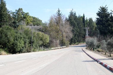 Orman, İsrail devletinin kuzeyindeki dağlarda otoyol. 