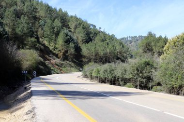 Orman, İsrail devletinin kuzeyindeki dağlarda otoyol. 