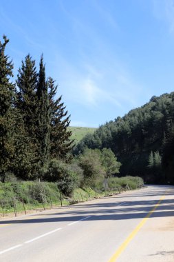 Orman, İsrail devletinin kuzeyindeki dağlarda otoyol. 