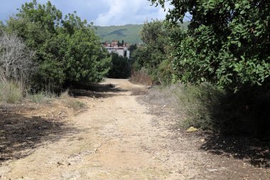 Orman, İsrail devletinin kuzeyindeki dağlarda otoyol. 