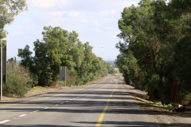 Orman, İsrail devletinin kuzeyindeki dağlarda otoyol. 