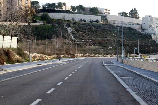 Bosque Carretera Las Montañas Norte Del Estado Israel — Foto de Stock