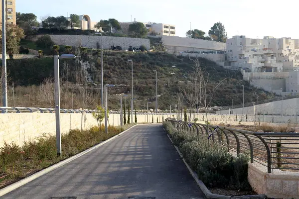 Bosque Carretera Las Montañas Norte Del Estado Israel — Foto de Stock