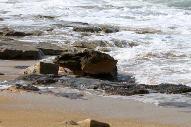 İsrail 'in kuzeyinde Akdeniz kıyısındaki bir şehir parkında taşlar var. 