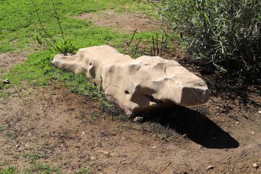 İsrail 'in kuzeyinde Akdeniz kıyısındaki bir şehir parkında taşlar var. 