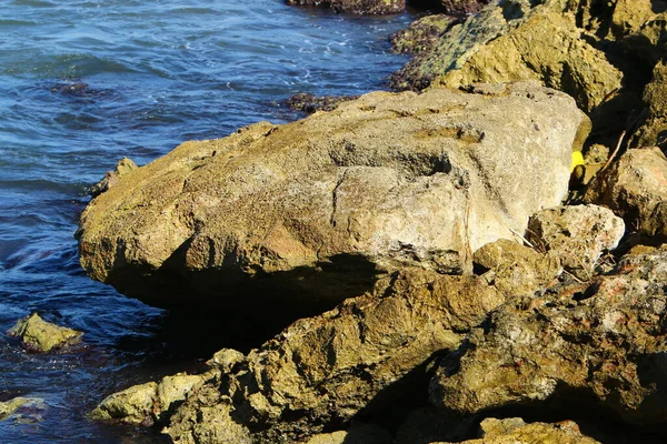 Steine Liegen Einem Stadtpark Ufer Des Mittelmeers Norden Israels — Stockfoto