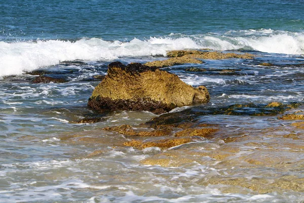 Pedras Encontram Parque Cidade Nas Margens Mar Mediterrâneo Norte Israel — Fotografia de Stock