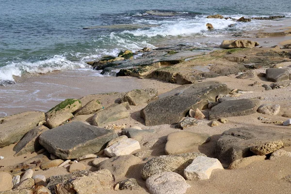 Piedras Encuentran Parque Ciudad Orillas Del Mar Mediterráneo Norte Israel —  Fotos de Stock