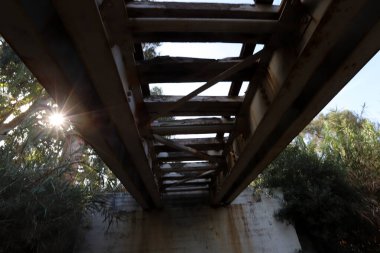 Güneş ışınları bulutları ve ağaç yapraklarını delip geçiyor. Virüsten kurtulmak için bize umut veriyor. 