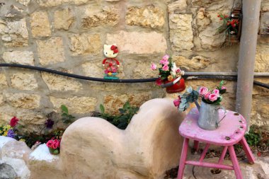 İsrail 'deki saksılarda yeşil bitkiler ve çiçekler yetişir. 