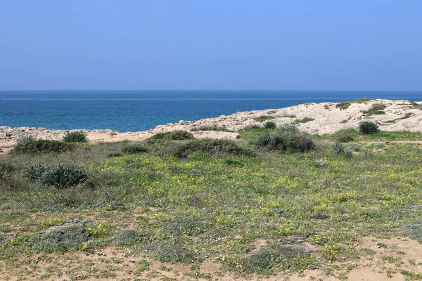 Costa Mediterrânica Norte Israel Fotos Tiradas Antes Quarentena — Fotografia de Stock