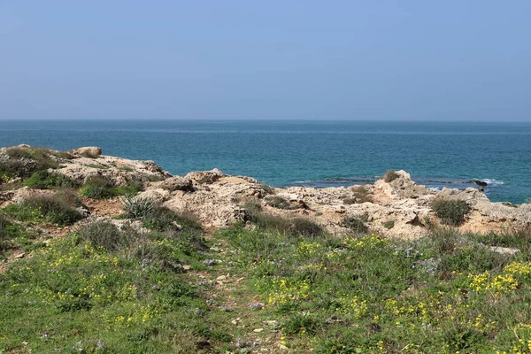 Costa Mediterrânica Norte Israel Fotos Tiradas Antes Quarentena — Fotografia de Stock