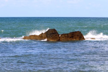 İsrail 'in kuzeyindeki Akdeniz kıyısında. Fotoğraflar karantinadan önce çekildi 