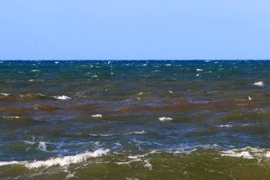 İsrail 'in kuzeyindeki Akdeniz kıyısında. Fotoğraflar karantinadan önce çekildi 