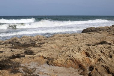 İsrail 'in kuzeyindeki Akdeniz kıyısında. Fotoğraflar karantinadan önce çekildi 